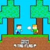 Friends Battle Tag Flag